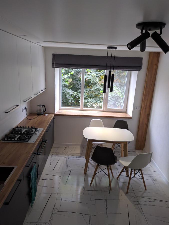 Cozy 75 Apart In Center - 2Х Кімнатна Квартира В Центрі Кропивницького Kropywnycki Zewnętrze zdjęcie